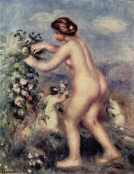 Ode an die Blumen